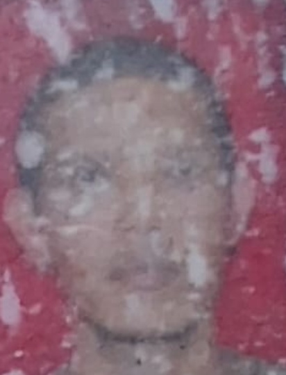 JERRY BUSTAMI